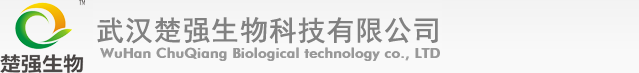 歡迎來到素玄，一個與眾不同，用戶體驗設計極佳，技術領先，業內口碑優良，專注于企業電子商務服務的互聯網公司。